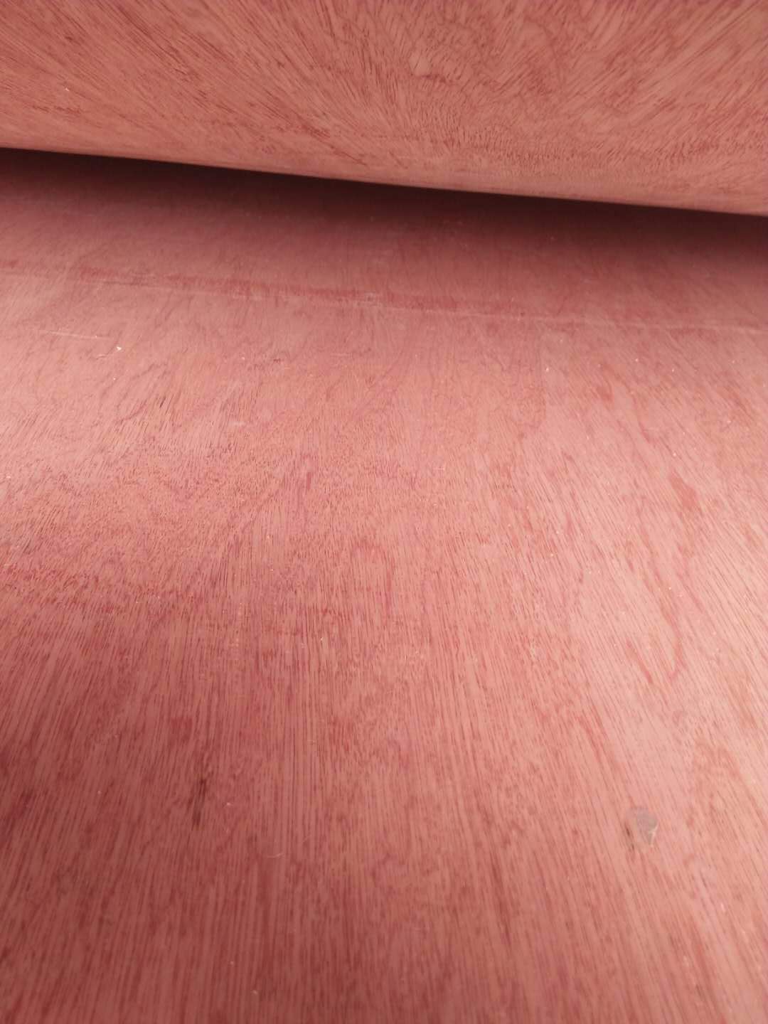 的詳細(xì)介紹