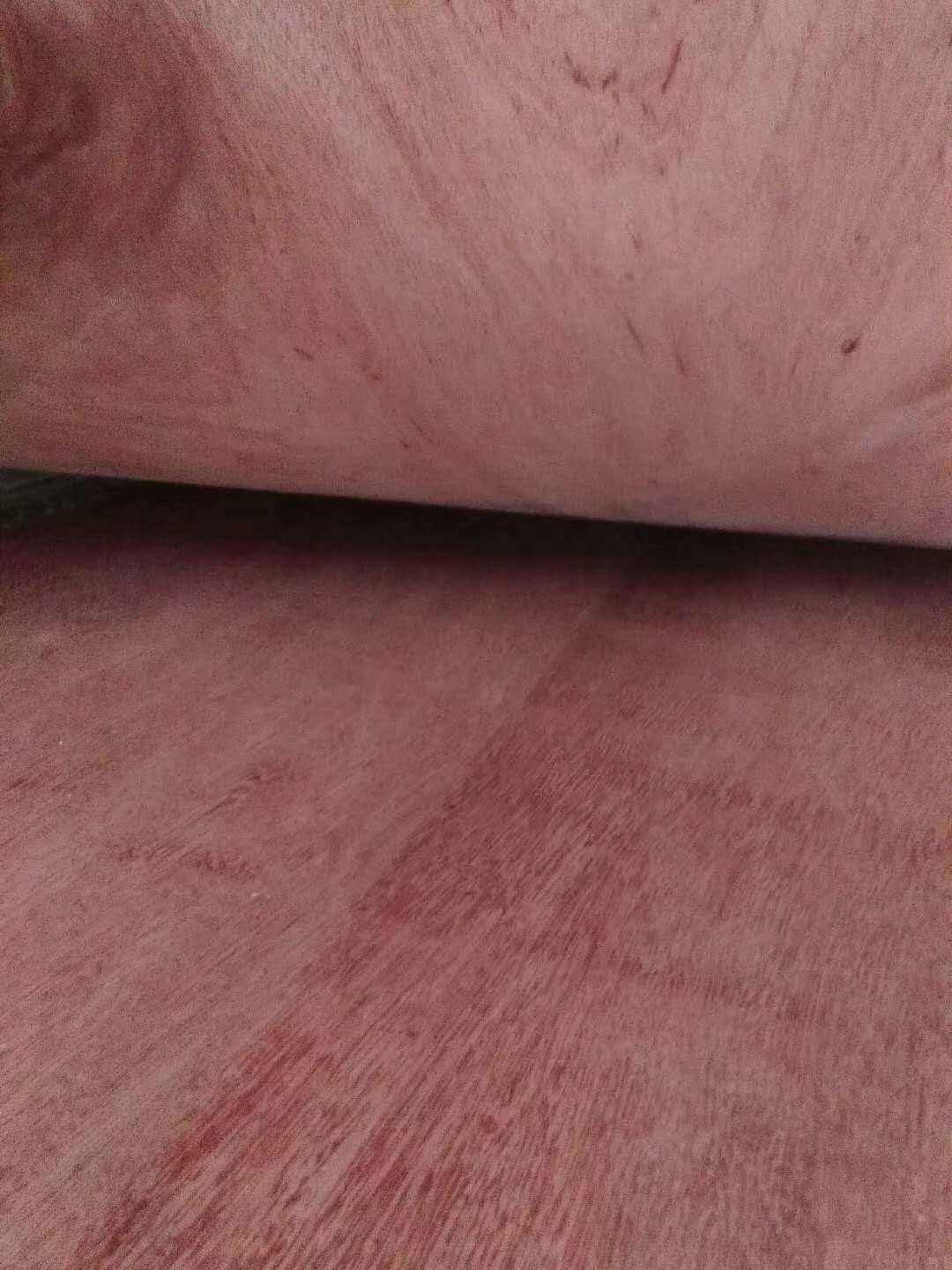 的詳細(xì)介紹