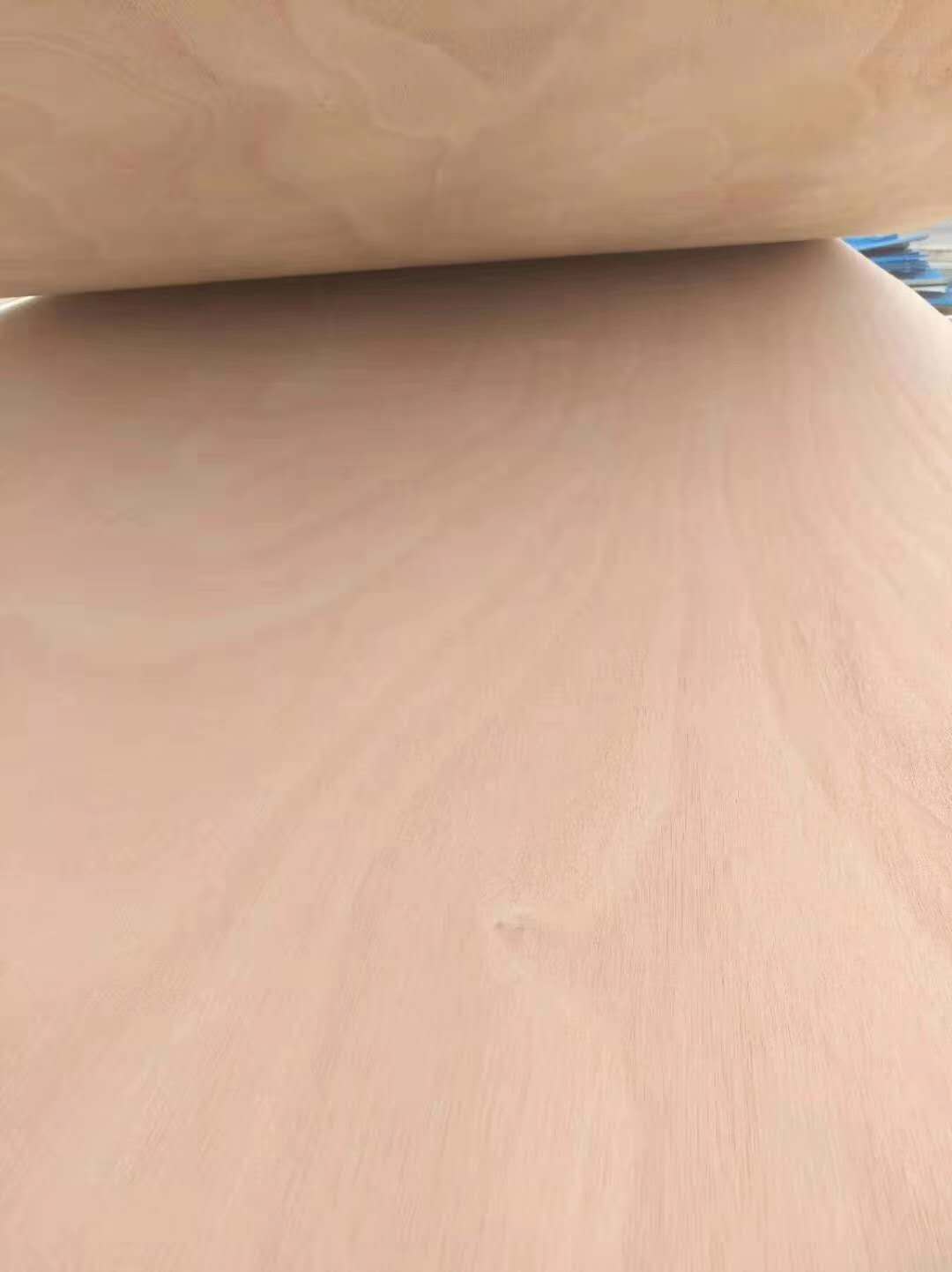  ��Ԕ��(x��)��B