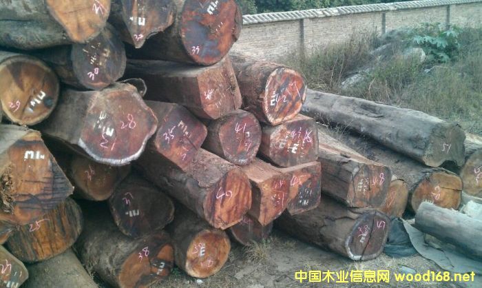 ���飬�ϓ�������կ��Խ���^�m(x��)���P(gu��n)����t��֦ԭ�����Ĵ��M