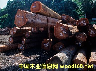 ���u(p��ng)���Ј�(ch��ng)���Ĳ��㣬�tľ���(l��i)ָ��(sh��)�յ�0.71%