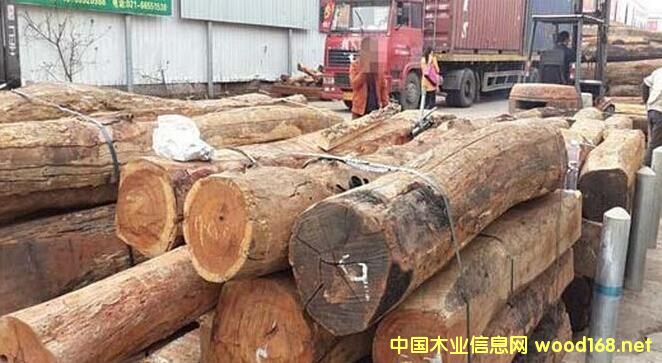 ����ľ�ĳ����̞���ⶐ���s����