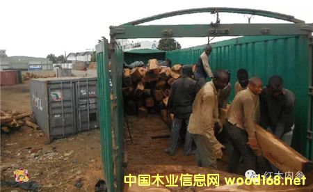 ���ǵ؅^(q��)ľ�ļӹ��a(ch��n)�I(y��)�l(f��)չӭ�����ش��D(zhu��n)��