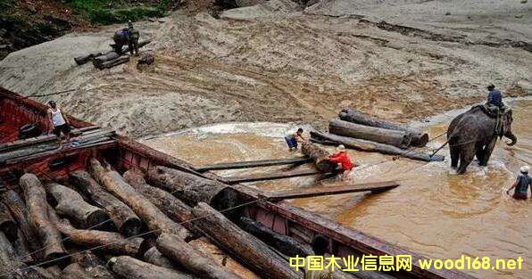 ľ�ĳ��ڇ�(y��n)�صĮ�(d��ng)�£��ϓ���Ƿ��(hu��)�ɞ����������