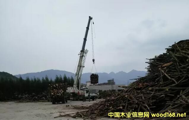 �����a(ch��n)�I(y��)Ѳҕ֮---�����߽������Xľ�I(y��)