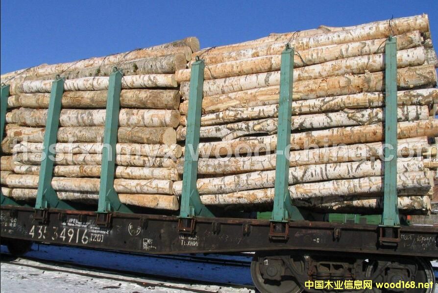 ���_˹�ט�ԭľ