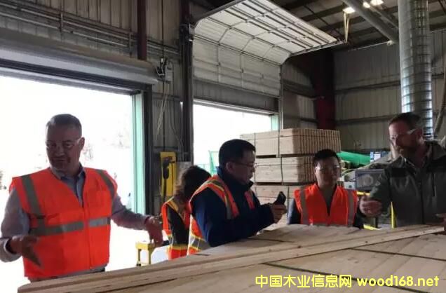 �������MGP���ݺá�Rexľ�ďS��2017������~�İ�Ŀ���