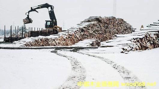 ߅������푵�һ����������Ӌ������ô��M��ľ������20%�P(gu��n)��