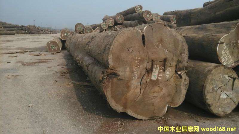 ����Ϳ���¡ľ�ĳ��ڲ�����(d��o)��������p��