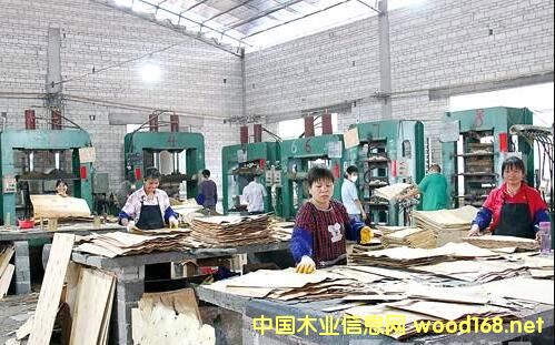 �R�ʰ����I(y��)�������Ƶĕr�򣿏V���F���ǂ����x����