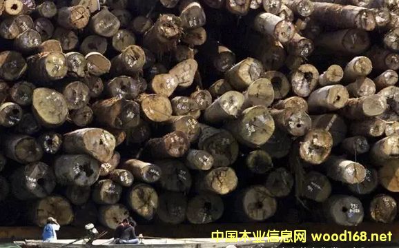 ���޼tľ����Խ��Խ�y��δ���Ј��Ͽ��ütľ߀ʣ������