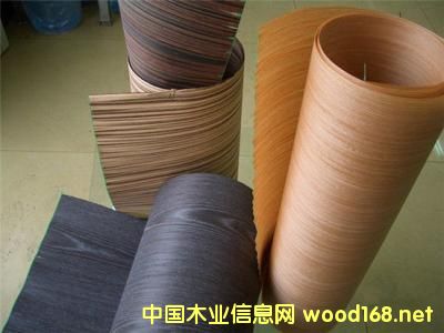 ȫ��Ƽ�ľ�Ј����L���^��2022�ꌢ�_413�|��Ԫ