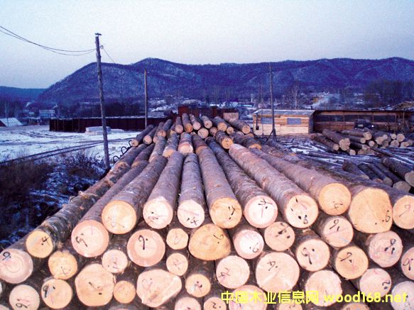 �Ї�ľ�I(y��)��I(y��)�߳�ȥ�����_˹���Y��I(y��)Ѳҕ֮---�W���ľ�I(y��)���F(tu��n)