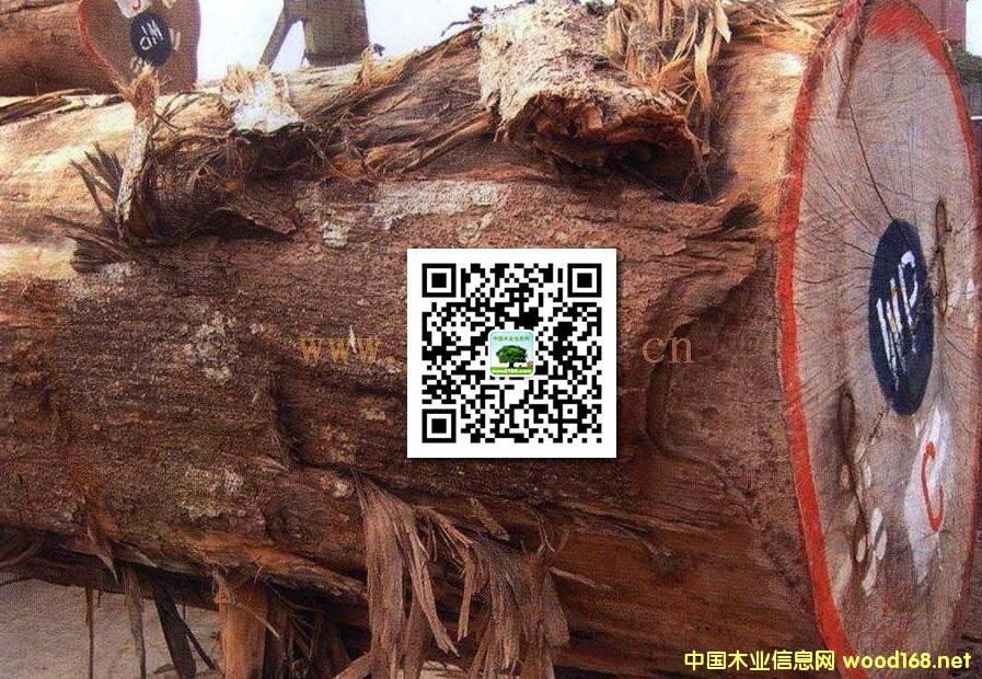 ľ�İٿƣ��S�O�ţ����ȸľ���S�u�����ٽzľ��