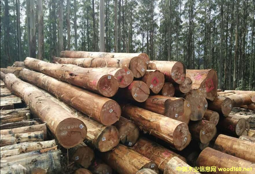 ̫�}�۰���M����څ��(w��n) �M�ڰĴ�����ԭľ�q���_��������λ