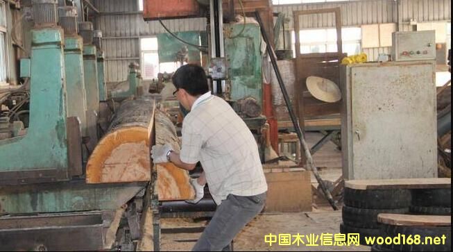 ľ�ăr(ji��)���ϝq�ѳɶ���---ȫ��(gu��)ľ���Ј�(ch��ng)����һ�[