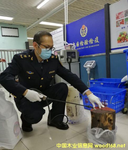 �����_���ڰ��������(l��i)��ľ�^����(sh��)����̴ԭľ