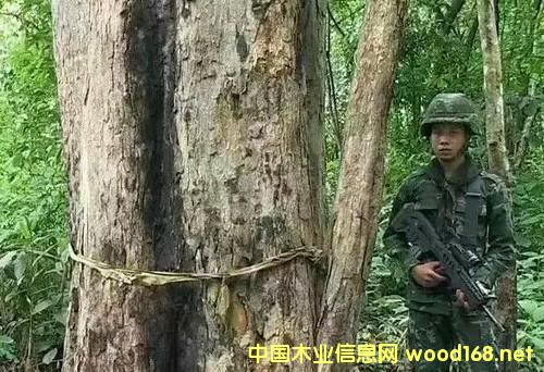 �����@80���F��˽��ľ��,�����ټӴ�����˽������