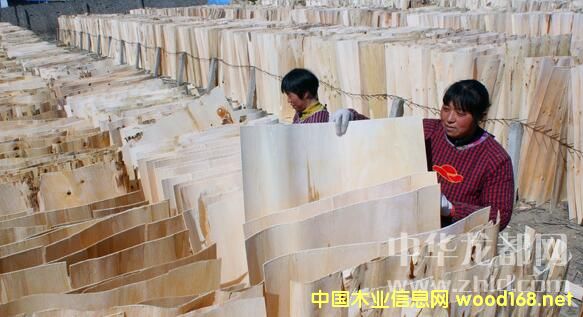 �(xi��ng)�������(zh��n)��(y��u)�|(zh��)��Ƥ���N���K��ɽ�|�����յ�ʡ