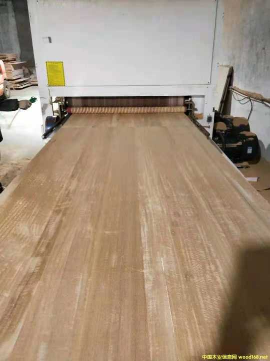  ����ľƴ��