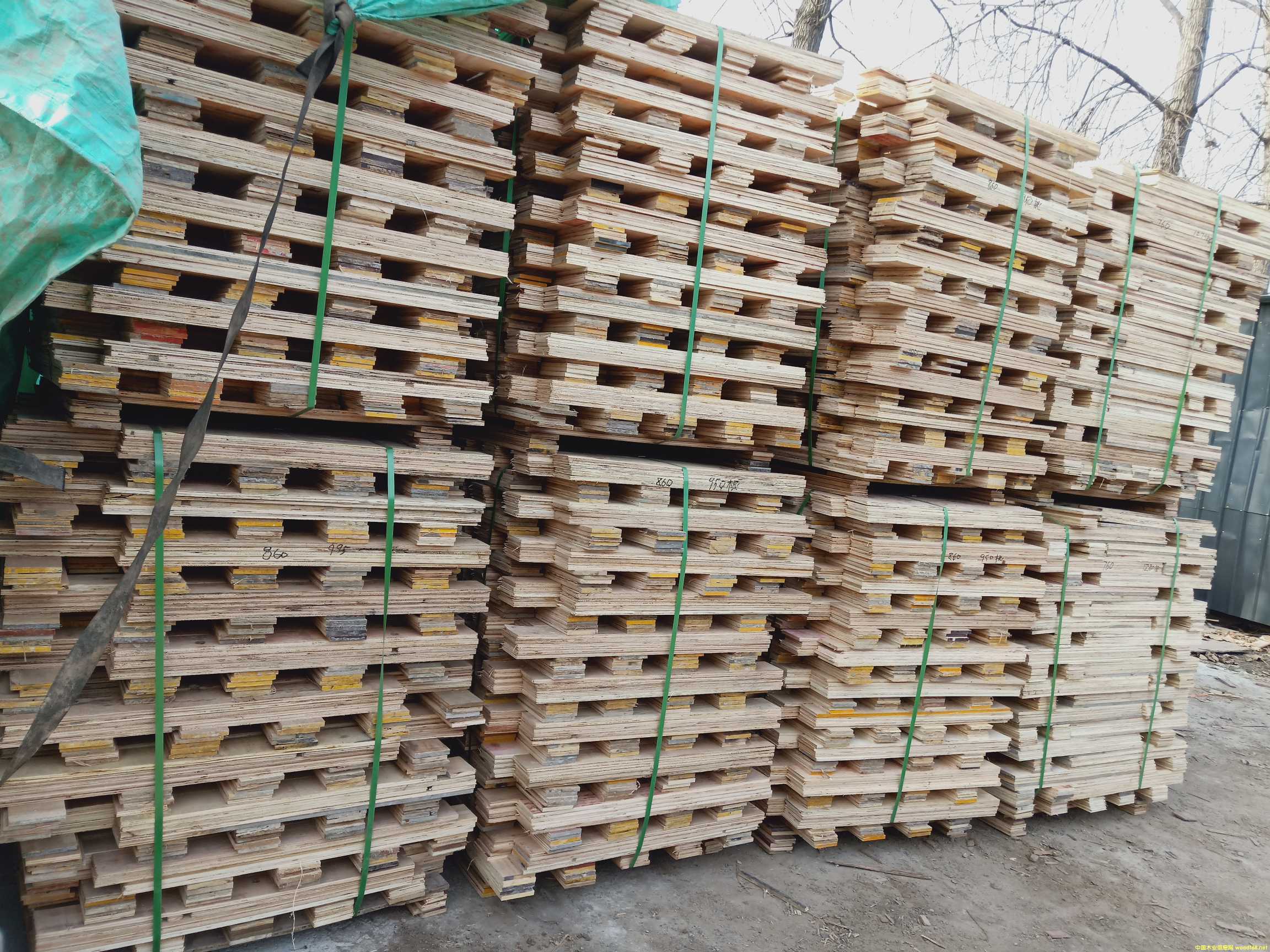  ��Ԕ����B