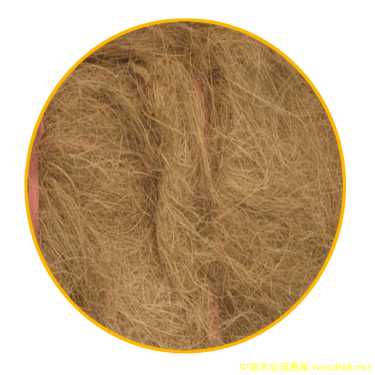 Ҭ�z��Ԕ����B