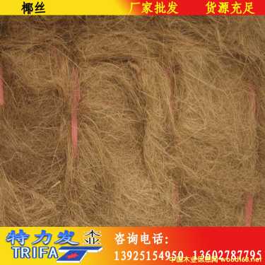 Ҭ�z��Ԕ����B