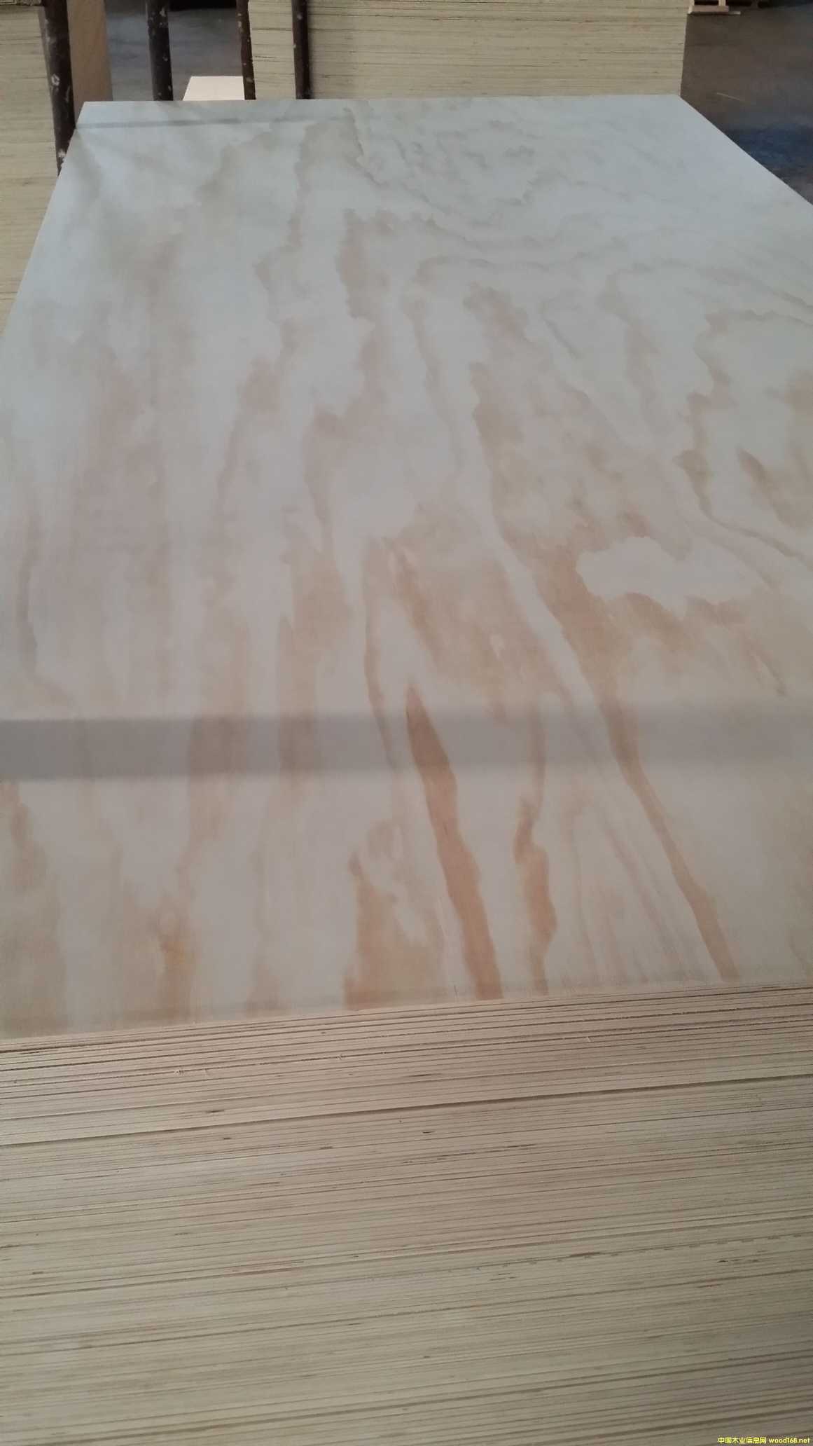 ݗ����ľ�z�ϰ�