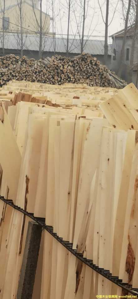 ��ľо��A��Ƥ�ΰ弃ƽ����