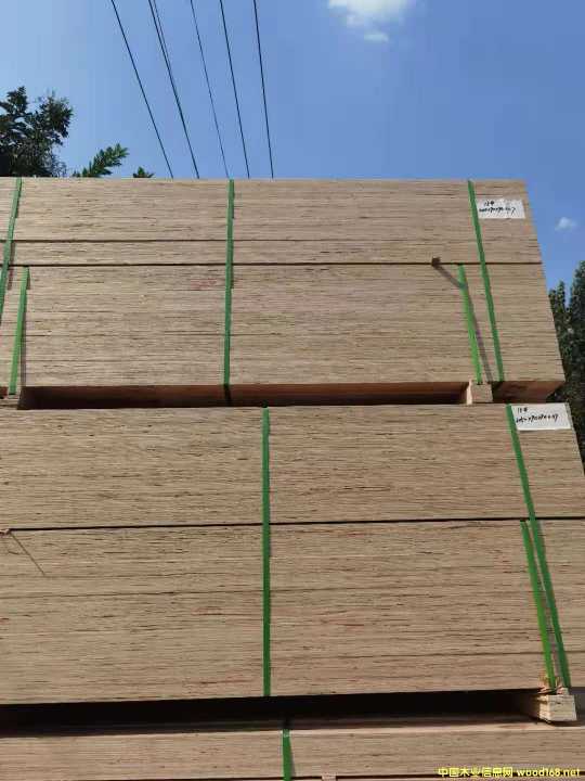 ȫ�����Ѭ��LVL���b�� LVL���Ӱ�ľ����Ԕ����B