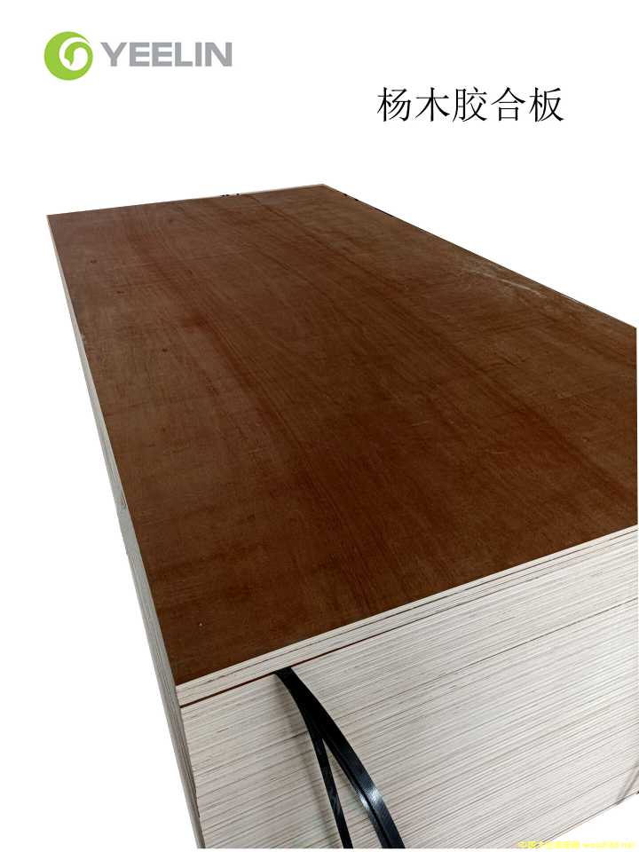 ��ľ�z�ϰ�