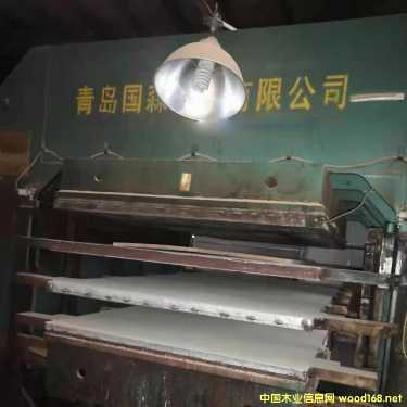 ��(gu��)ɭ��˰�����ذ�ቺ�C(j��)����