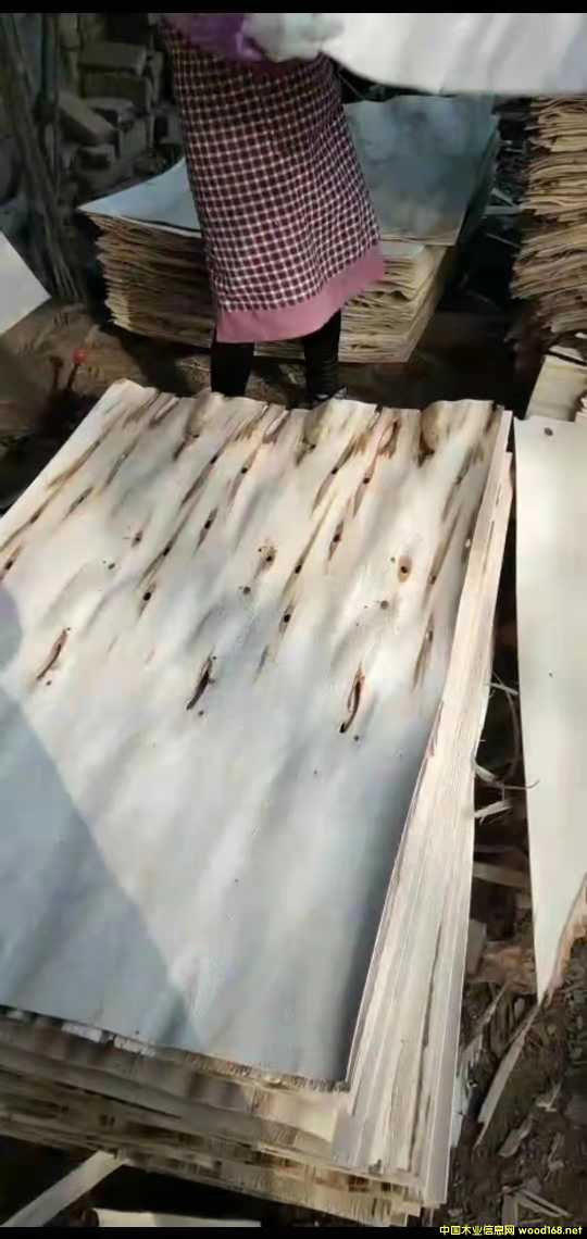  ��Ԕ��(x��)��B