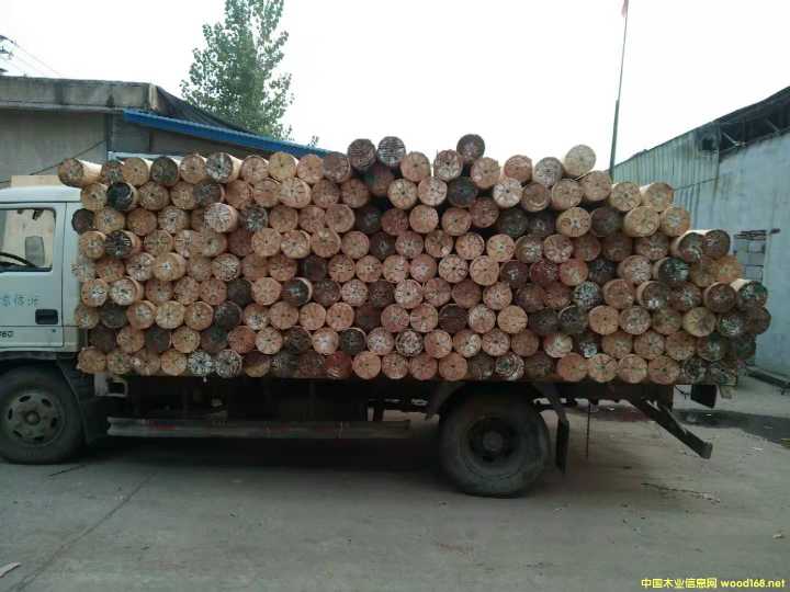 的詳細(xì)介紹