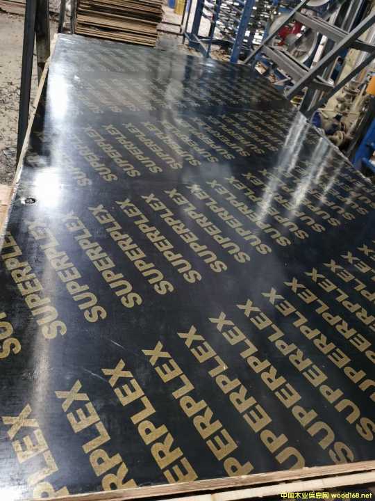 的詳細(xì)介紹