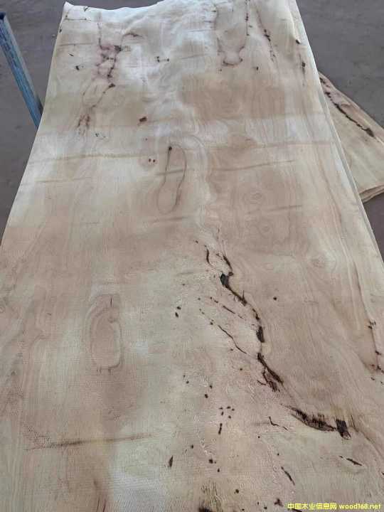 [��] �M(j��n)�����zľ���Іΰ�