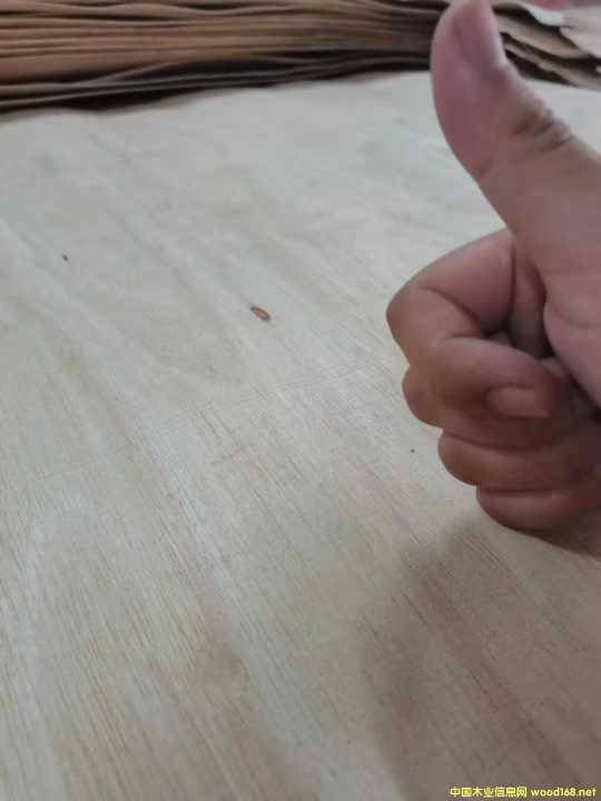  �M(j��n)�����zľ���Іΰ��Ԕ��(x��)��B