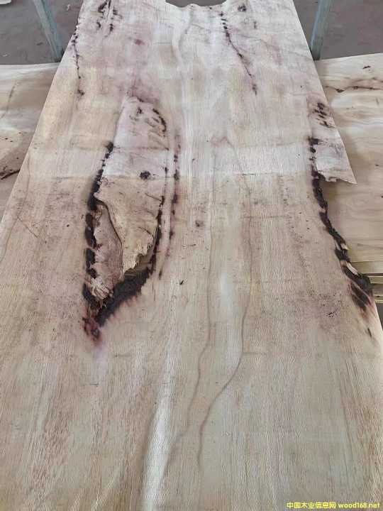 [��] �M(j��n)�����zľ���Іΰ�