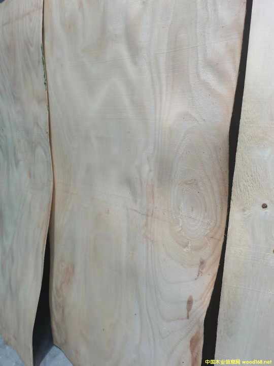  �M(j��n)�����zľ���Іΰ��Ԕ��(x��)��B