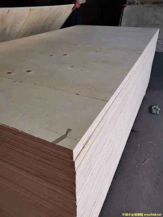 的詳細(xì)介紹