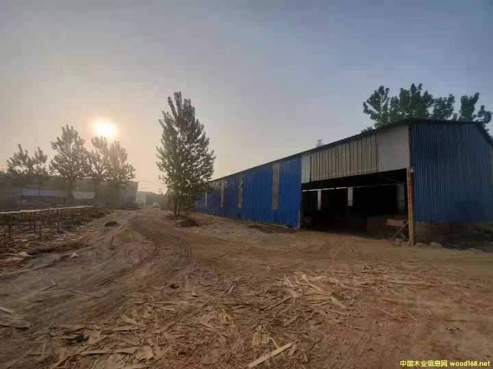 的詳細(xì)介紹