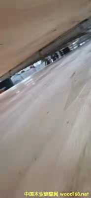 的詳細(xì)介紹