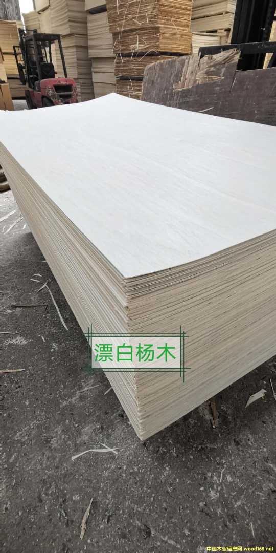 Ư�ח�ľ���Ӱ�