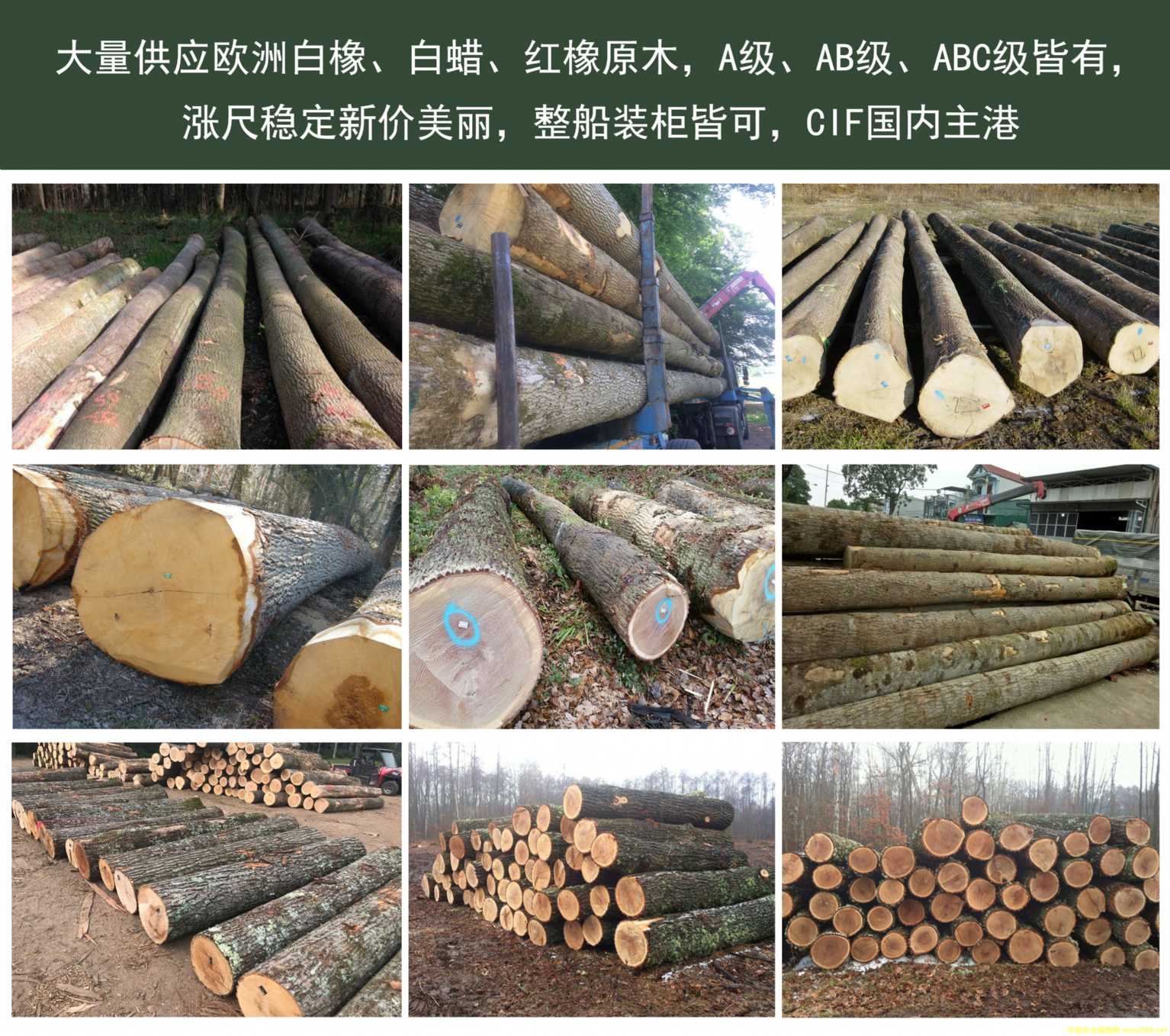 [��] ��������(y��ng)����Ϟ���������t��ԭľ