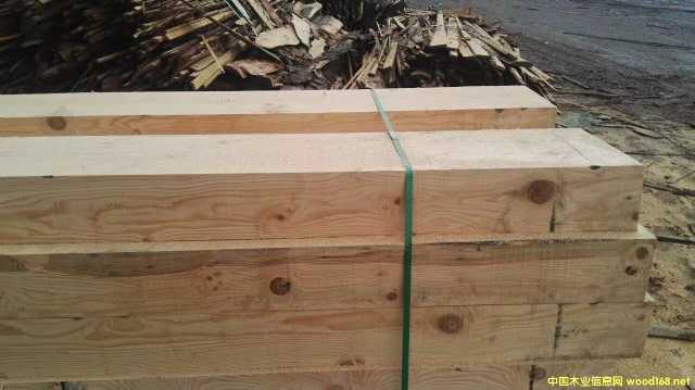 ���������Ž����������̷�ľ