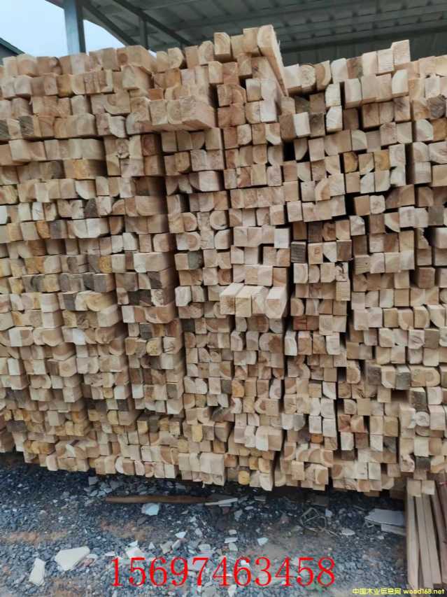 杉木方的詳細(xì)介紹