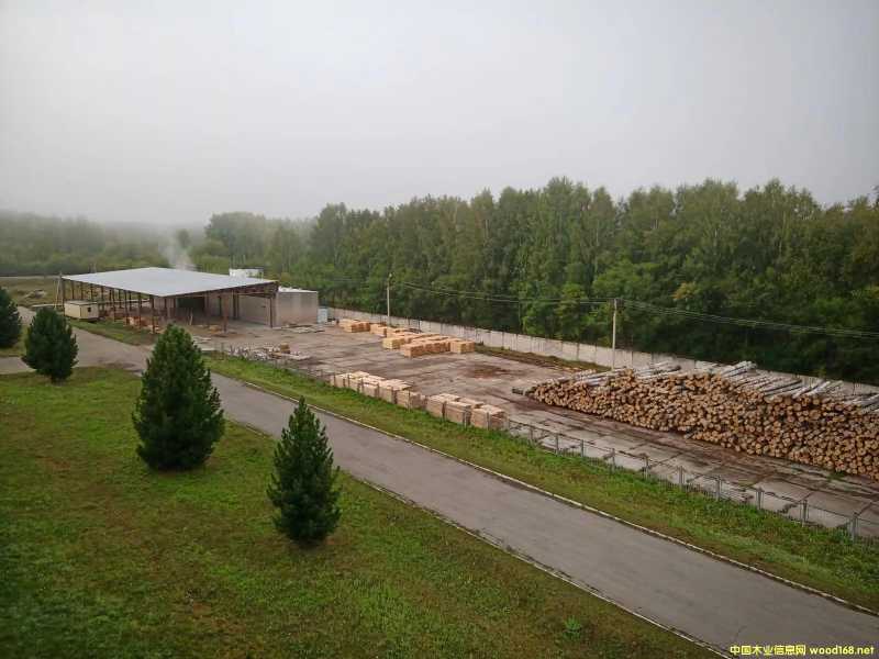 ���S ����ľ��^