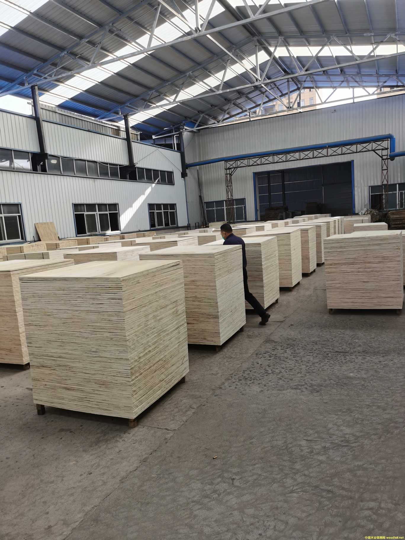 [��] �z�ϰ������b�����бP�������Ͱ���LVL���l