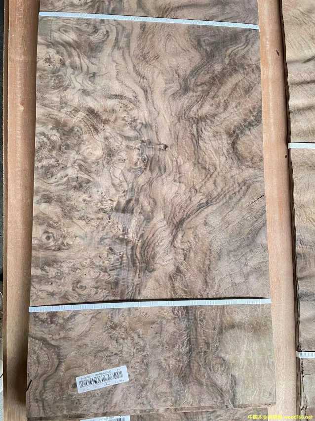 �ں��Ҙ�(sh��)��