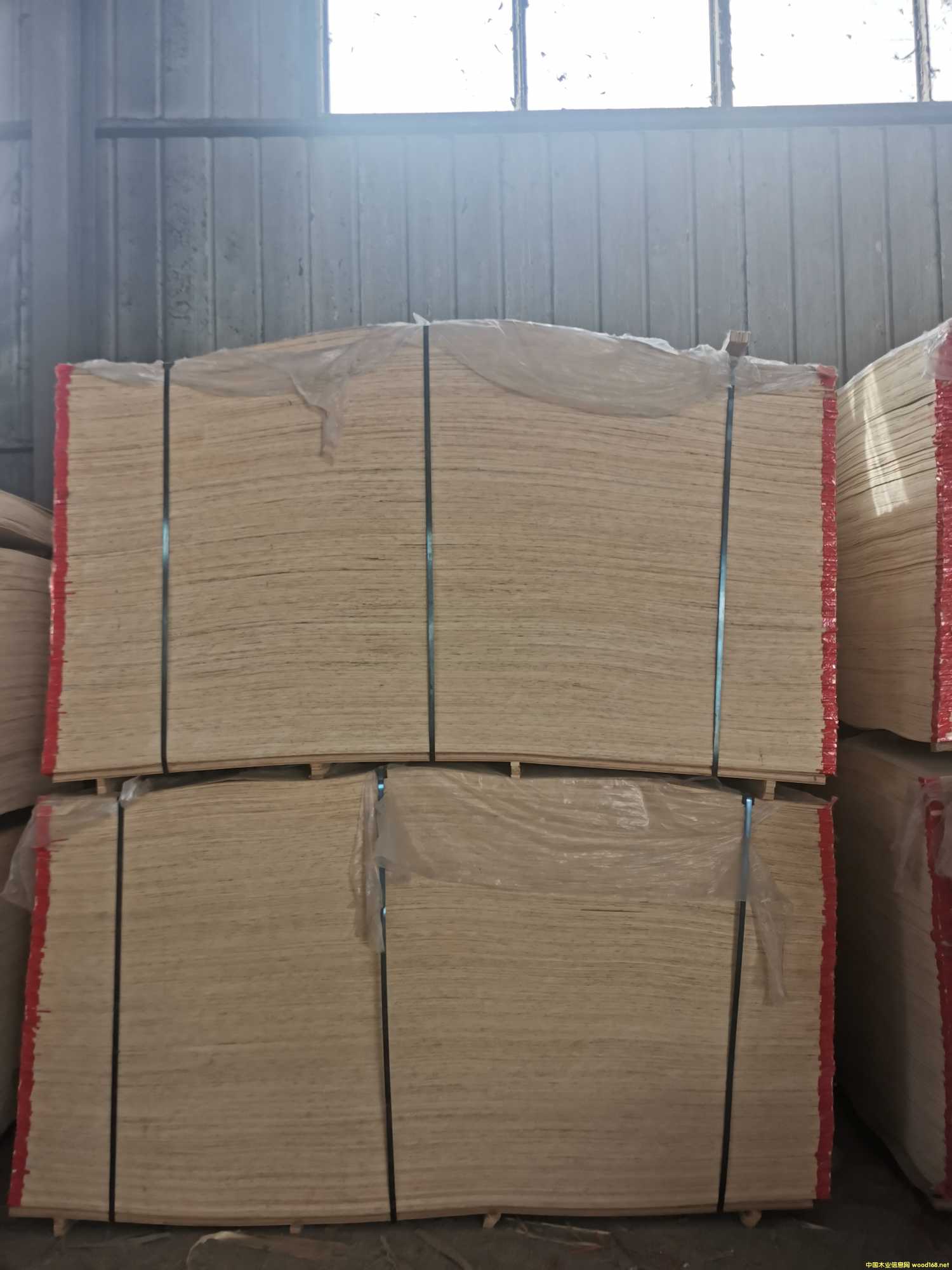 CARBP2��E1��E2 ��ľ ����� ɳ�l(f��)��